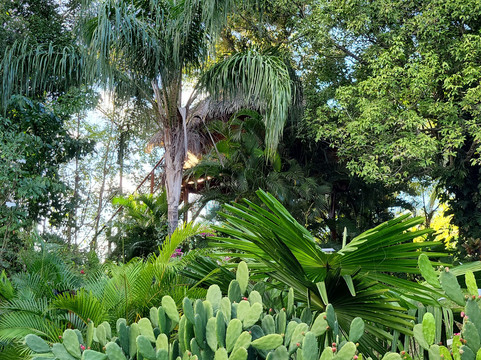 Habitation Getz主图