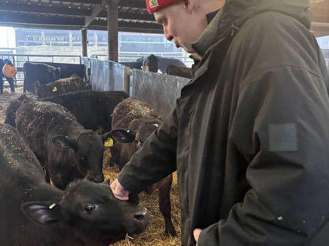 Farm Adventure Yorkshire-马沙姆必去景点