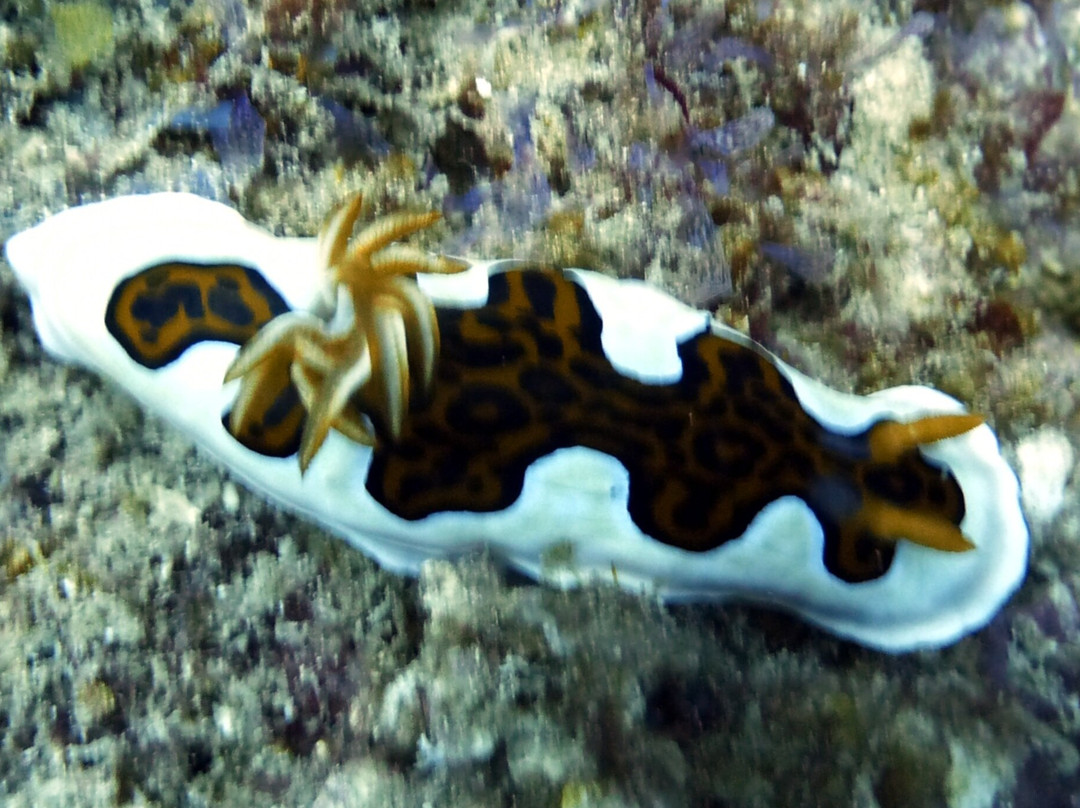 Aqua Ventures-瓦塔木必去景点