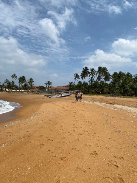 金欧雅旅馆-官方