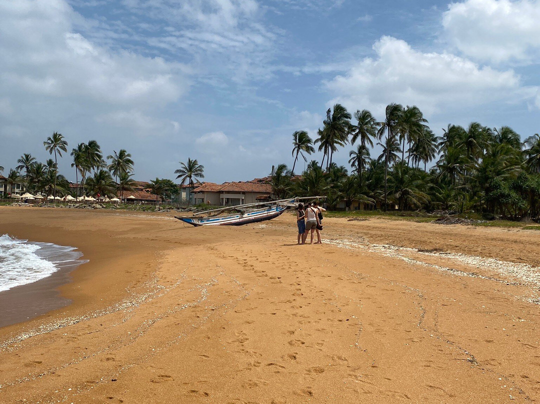 金欧雅旅馆主图