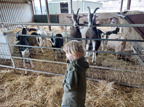 Errington Cheese-Walston必去景点