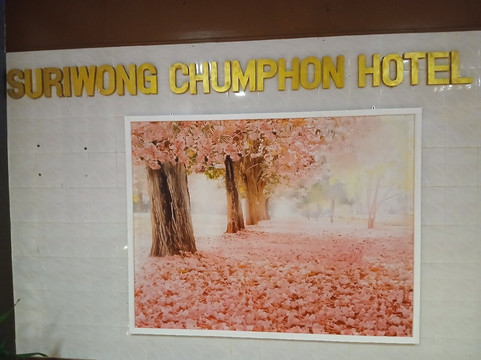 苏黎翁春蓬酒店主图