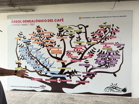 Café La Morelia-El Caimo必去景点