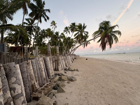 Praia Ponta de Mangue-Maragogi必去景点