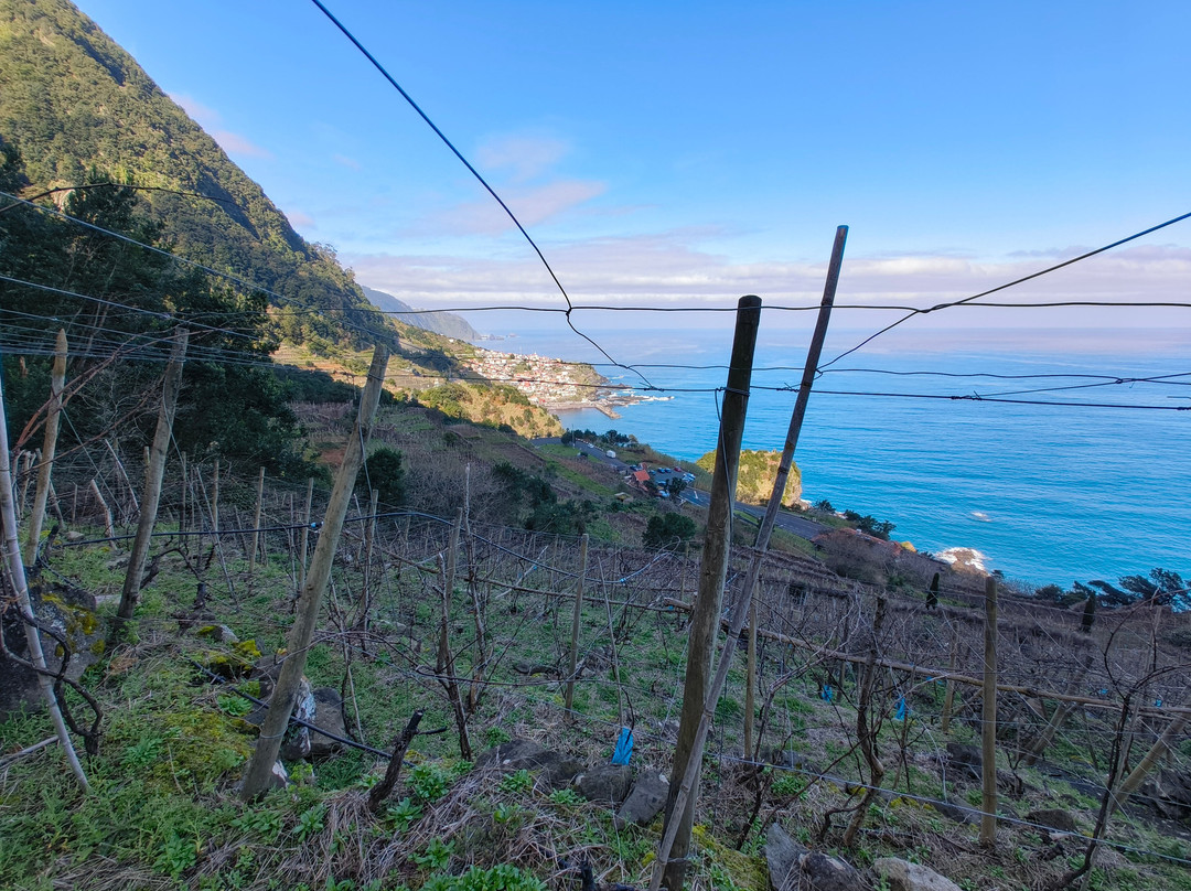 Vinha Do Véu Da Noiva-莫尼什港必去景点