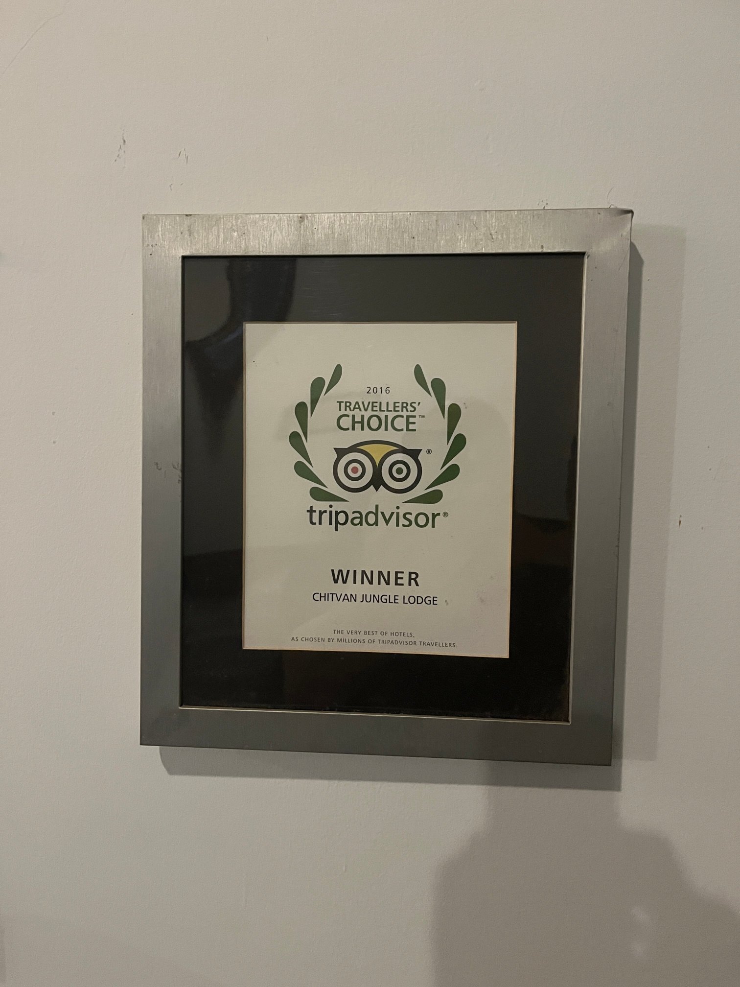 奇旺丛林旅馆-官方