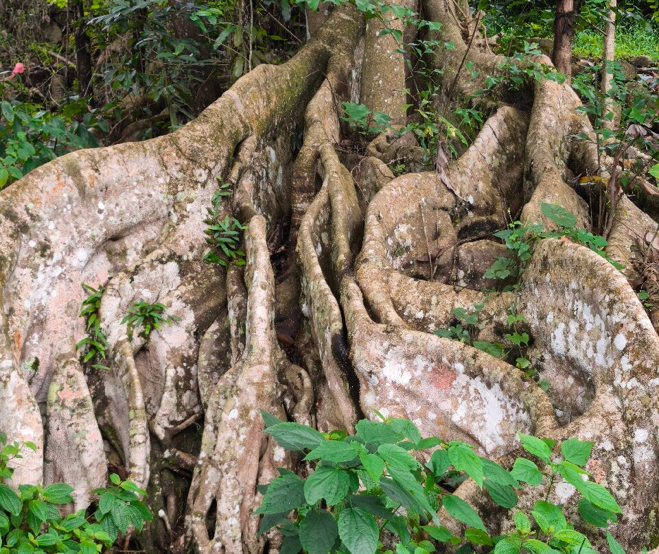 Amith Tours Galle-加勒必去景点