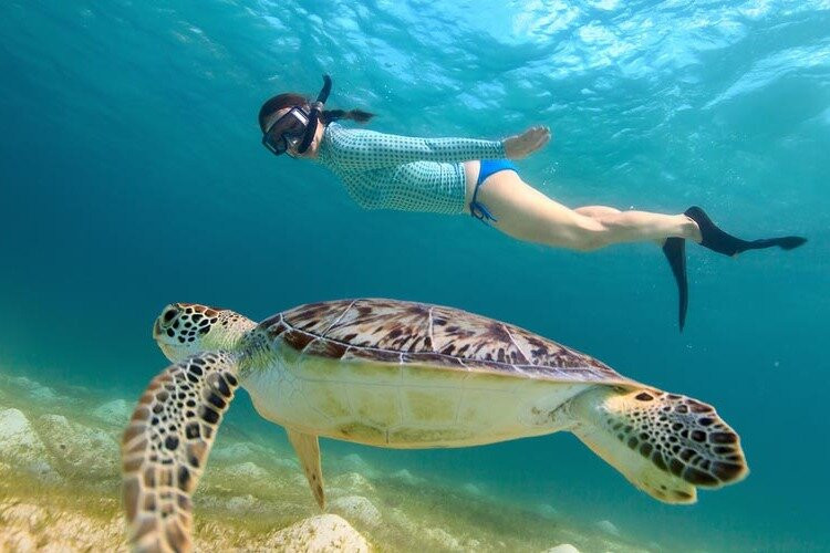 Eyes Of Egypt - Marsa Alam