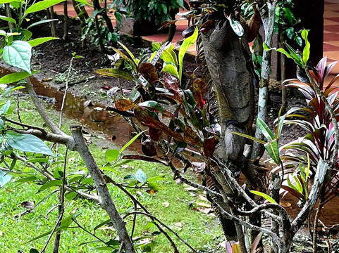 Lirio Lodge-托图杰多必去景点