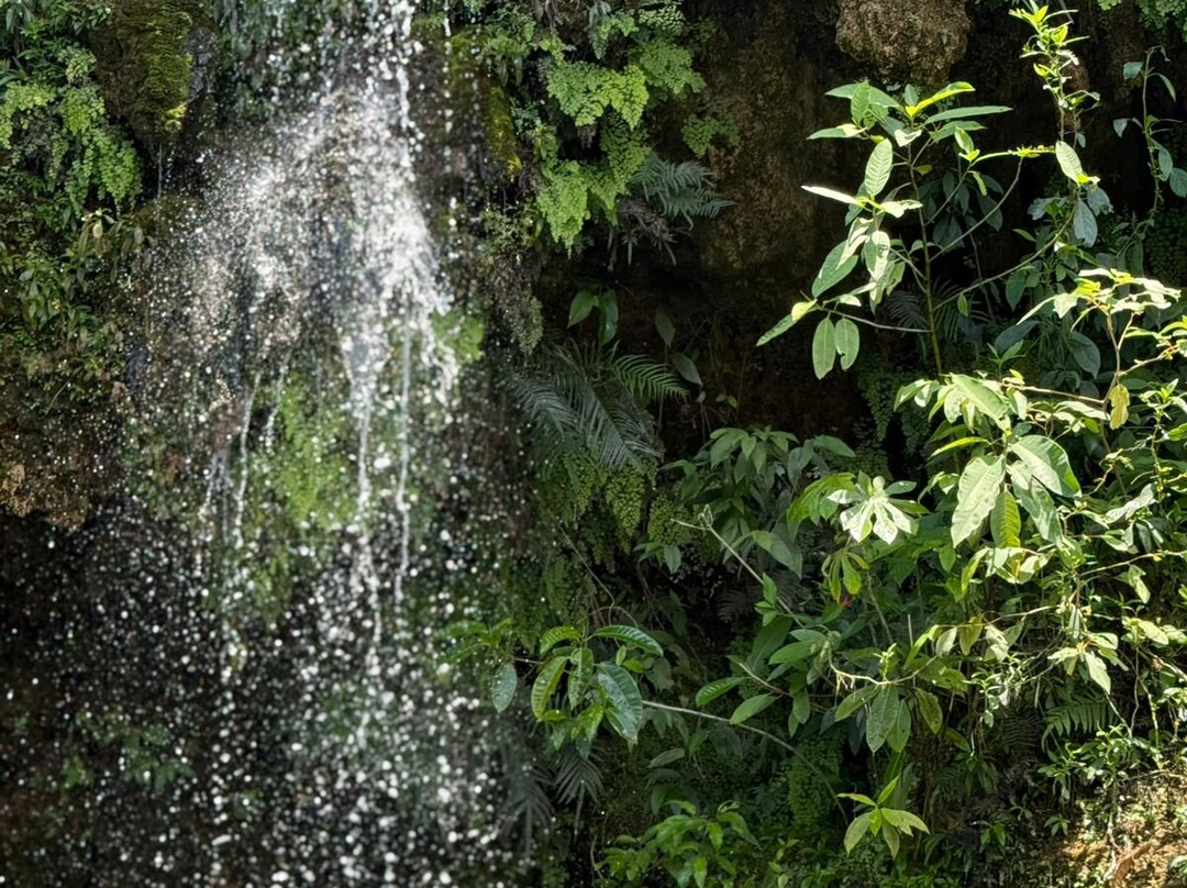 Parque das Cachoeiras-博尼图必去景点