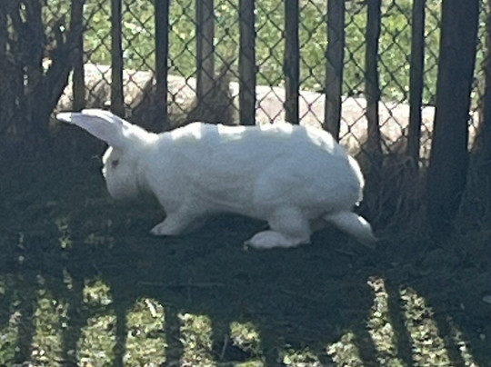 Peak Wildlife Park-Winkhill必去景点