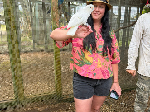 Parrots in Paradise Sanctuary-基亚拉凯库亚必去景点