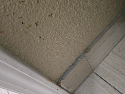 帕迪尤卡I-24 4号出口温德姆速8酒店主图