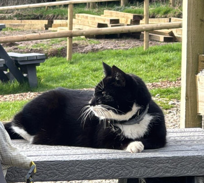 Dartmoor Zoological Society-Sparkwell必去景点