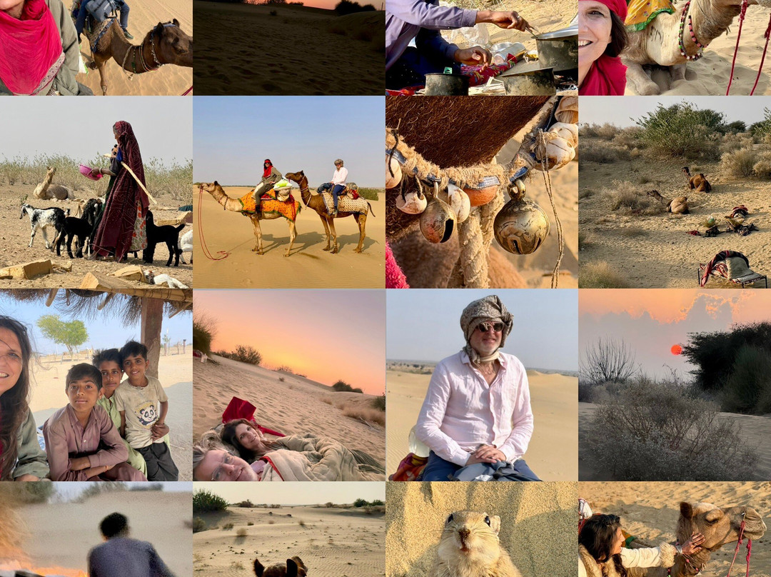 Thar Desert Tours-杰伊瑟尔梅尔必去景点