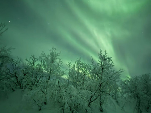 Northern Horizon-特罗姆瑟必去景点