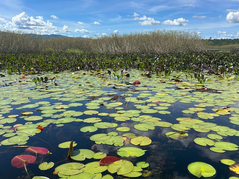 Fazenda Marimbus-迪亚曼蒂那国家公园必去景点