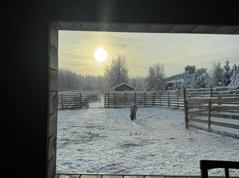 Local Lifestyle Rovaniemi-罗瓦涅米必去景点