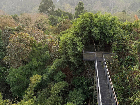 考索树屋度假村主图