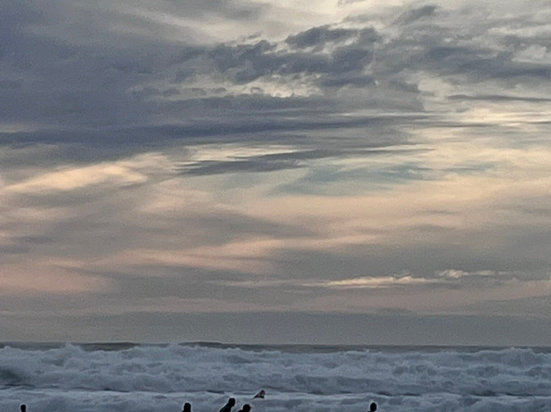 Ocean Ride-Lacanau-Ocean必去景点
