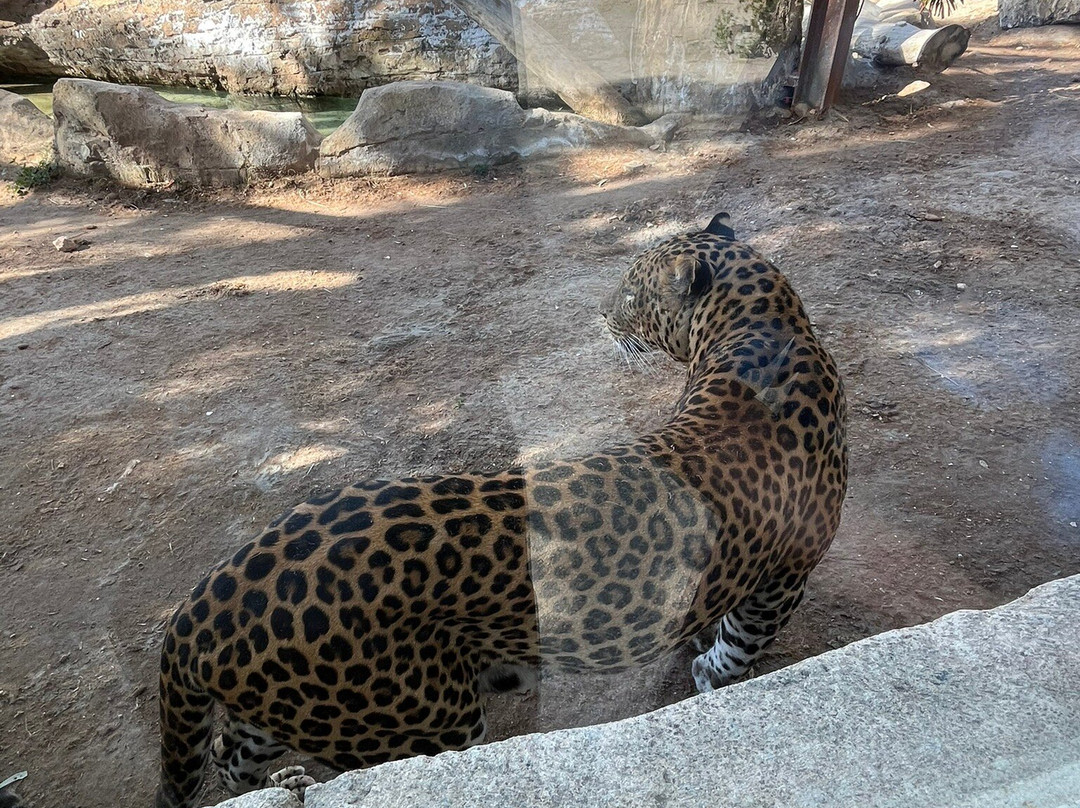 Rio Safari Elche-埃尔切必去景点