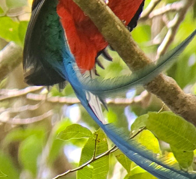 Jason Lara Tours-波魁特必去景点