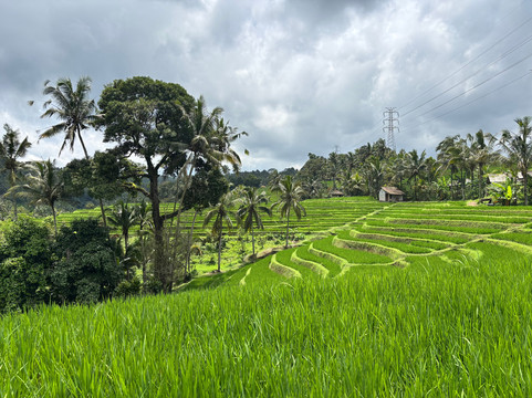Bali Chauffeur - Day Tours-沙努尔必去景点