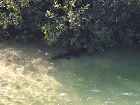 Pixan Ka'an-图伦必去景点