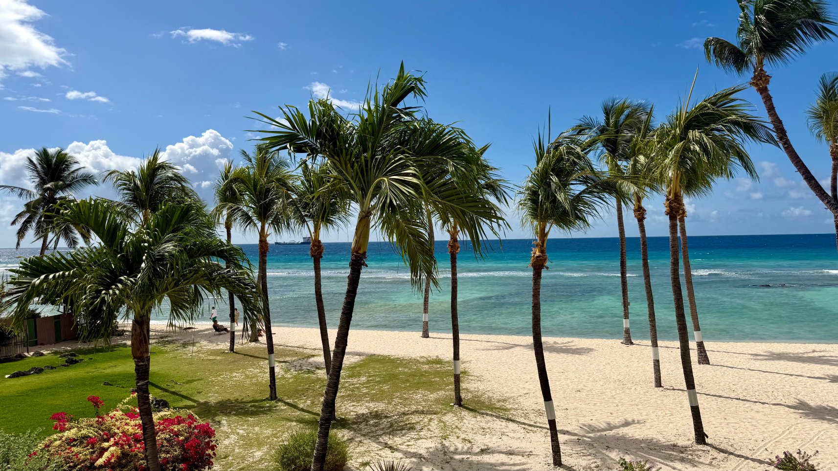 椰子园海滩酒店-酒店景观