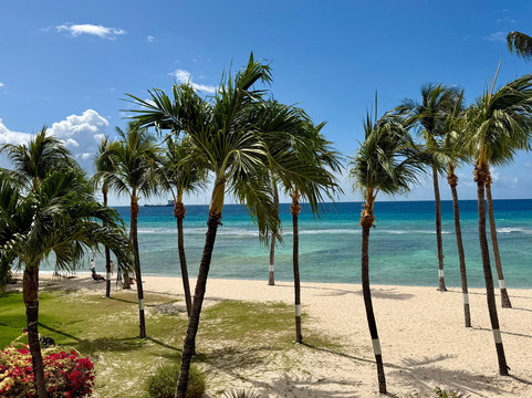 椰子园海滩酒店主图