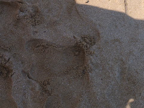 Playa Majahua-阿卡普尔科必去景点