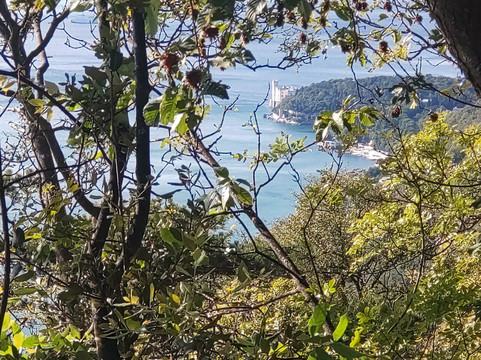 Strada Vicentina-的里雅斯特必去景点