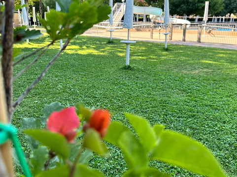 Piscina Clt-特尔尼必去景点