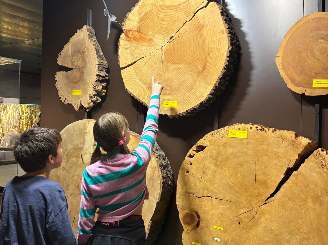 Museo Cantonale di Storia Naturale-卢加诺必去景点