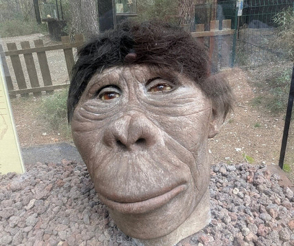 Musee - Parc des Dinosaures-Meze必去景点