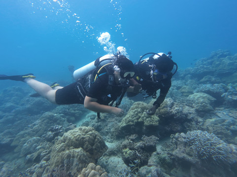 Turquoise Dream-Neil Island必去景点