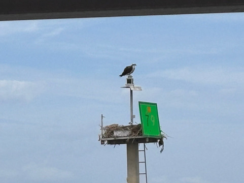 Environmental Learning Center-维罗海滩必去景点