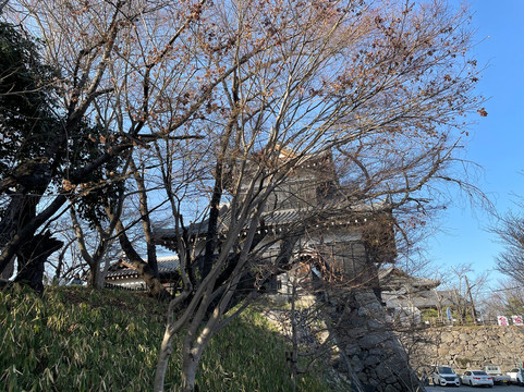 Koriyama Castle-大和郡山市必去景点