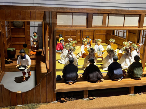 Amami Museum-奄美市必去景点