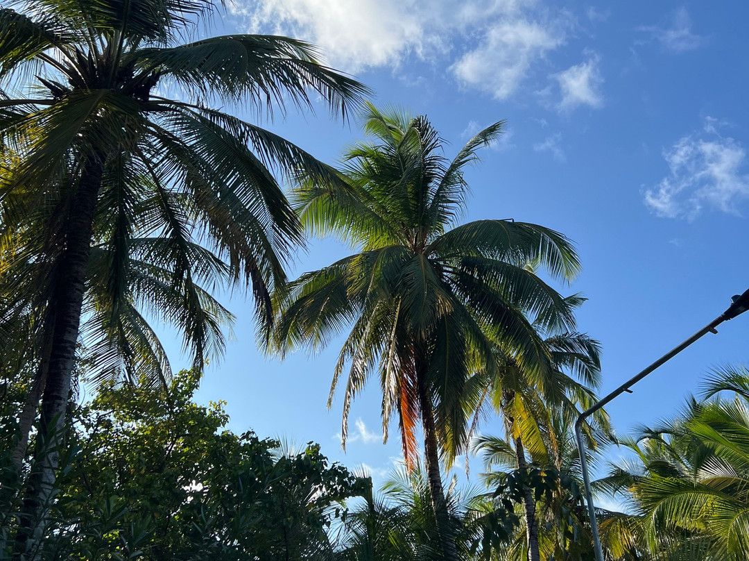 可拉度假别墅主图