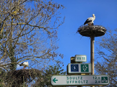 Parc À Cigognes-Cernay必去景点