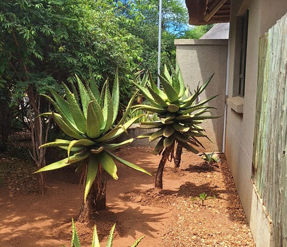 乌库图灌木旅馆主图