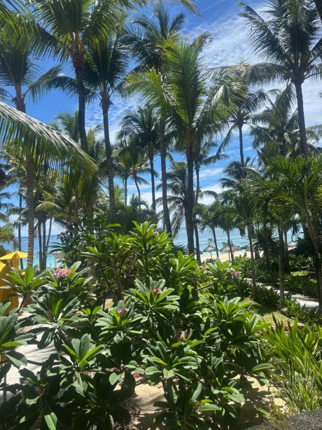 维兰达帕尔玛海滩酒店-全包-官方