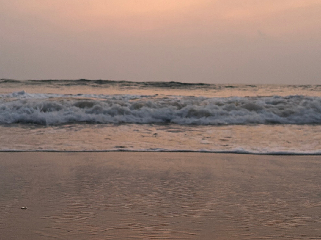 Galbokka Sea Turtle Hatchery-科斯戈德必去景点