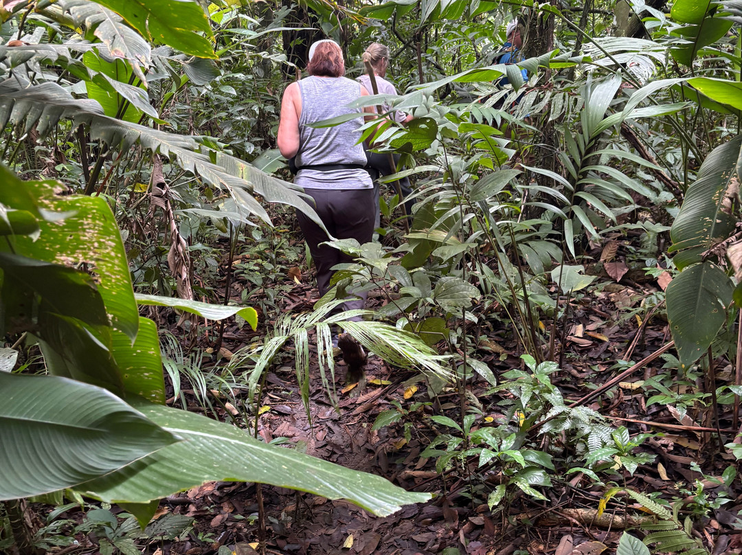 Abel Bustamante - Tour Guide-Manzanillo必去景点