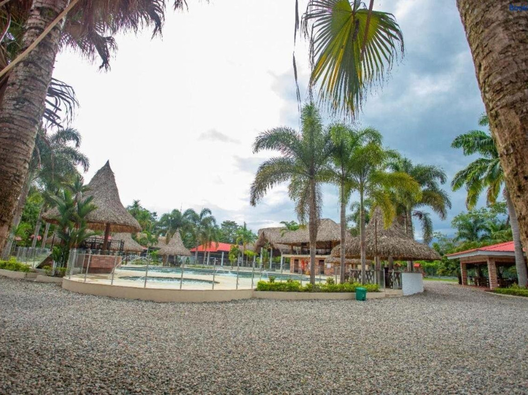 Paraiso verde