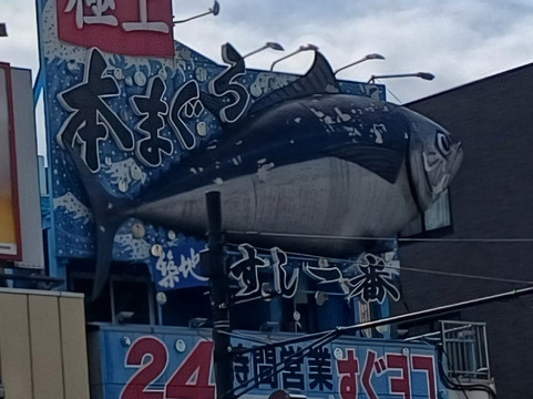 Tsukiji Fish Market-Tsukiji必去景点
