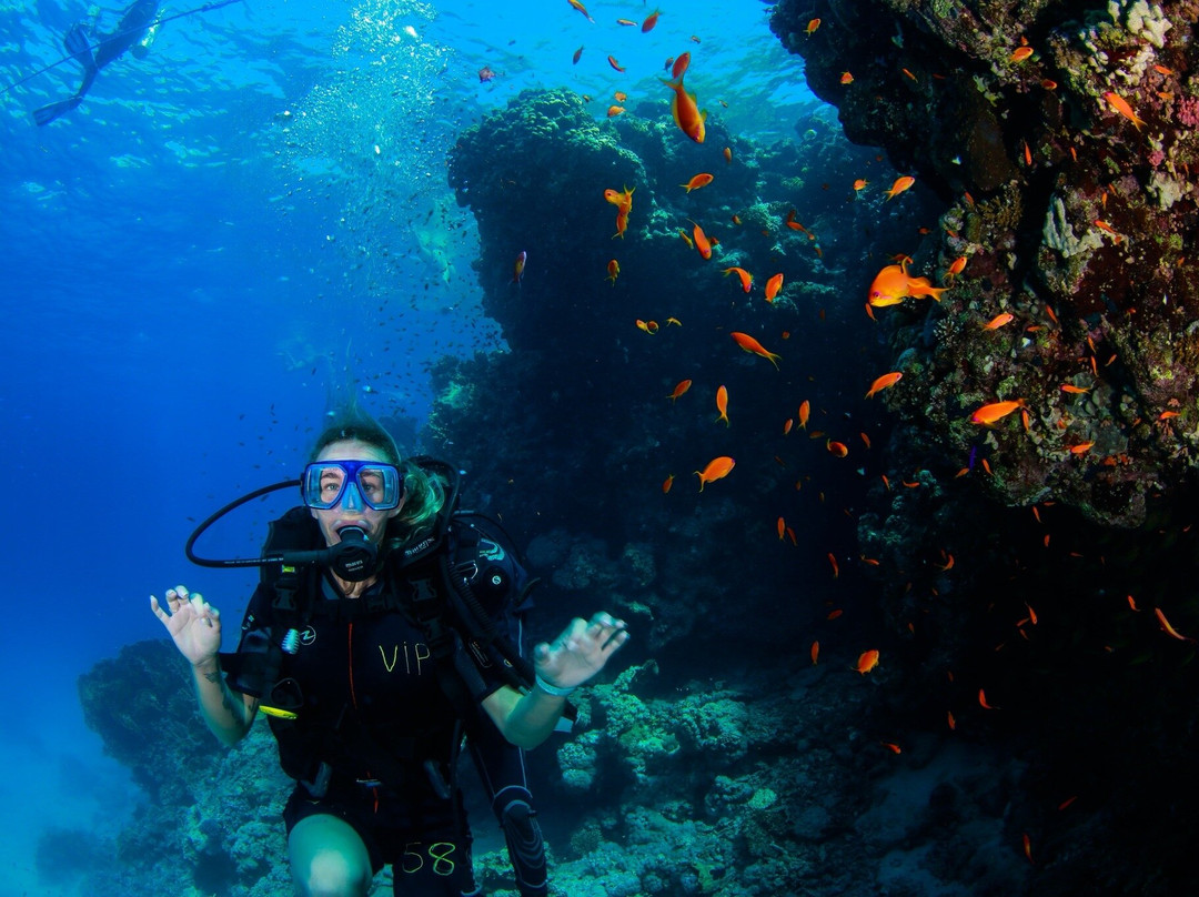 VIP Diving College-沙姆沙伊赫必去景点