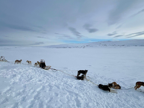 Seljeslett Gård-Russenes必去景点